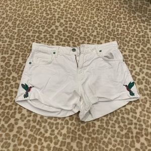 Jean shorts with hummingbird